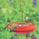 3 Ruby Throated Hummingbirds on a Feeder